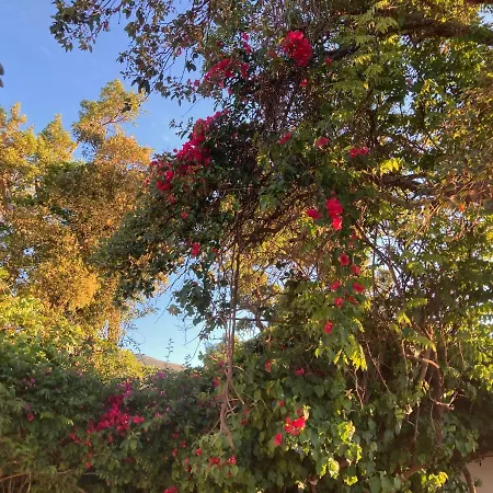 Mont Astral بيت ضيافة مونشيك